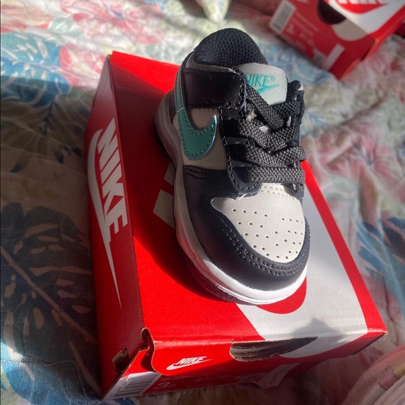 Dunk lows